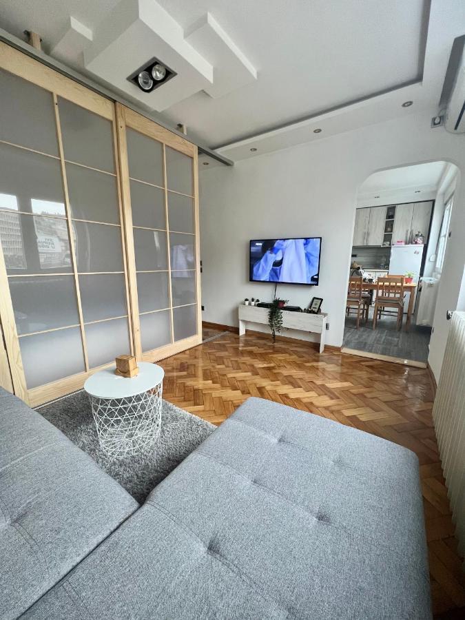 Comfortable Apartment In City Hub Belgrade Luaran gambar
