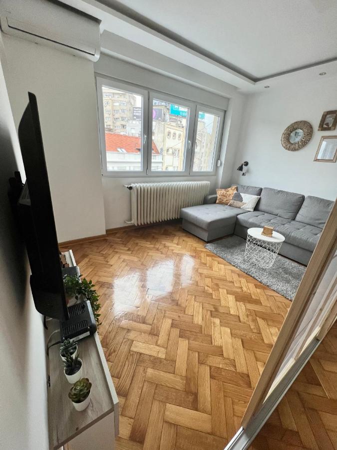 Comfortable Apartment In City Hub Belgrade Luaran gambar
